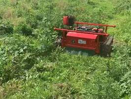 ?？馗畈菪Ч?></div>
                                                <div   id=